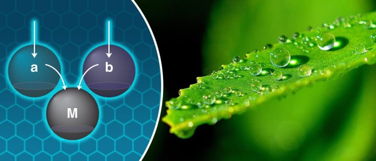Light Harvesting “Quantum Photocells” Herald A New Age in Solar Energy