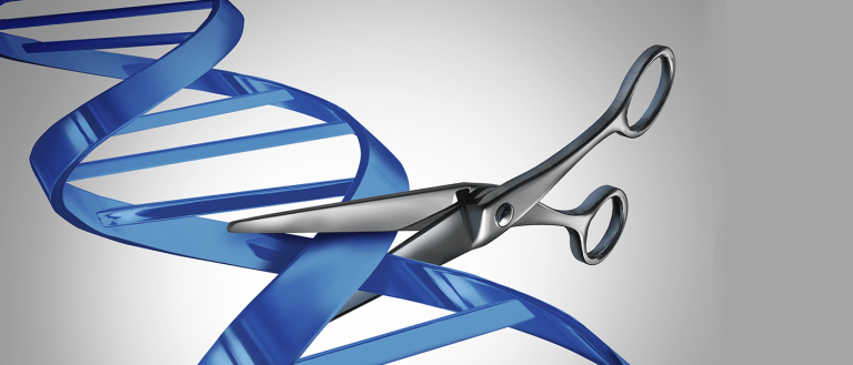 We’re Deciding Who Owns the Right to CRISPR Gene Editing