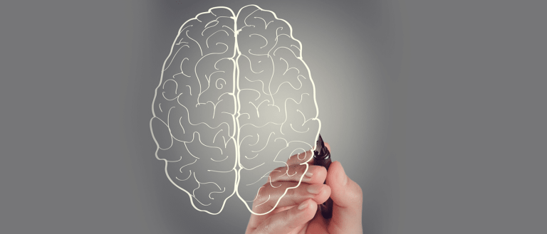 A Brain in a Dish: 3D Mini-Brains Prove to Be Remarkably Accurate