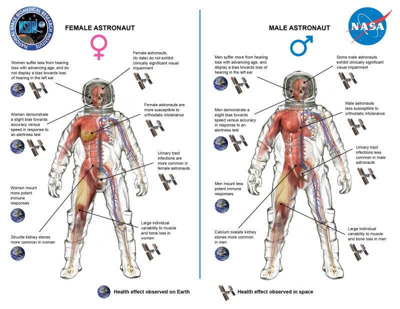Kelly and Kornienko spent nearly a year in space. NASA.
