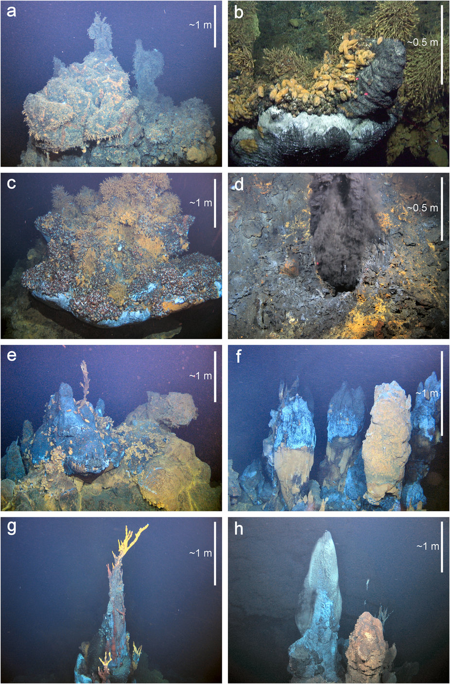(a) “Knucker’s Gaff”; (b) “Jiaolong’s Palace”; (c) “Tiamat”; (d) “Fucanglong’s Furnace”; (e) “Ryugu-jo”; (f) “Hydra”; (g) “Jabberwocky”; (h) “Ruyi Jingu Bang”. Credits: Copland, et al. 