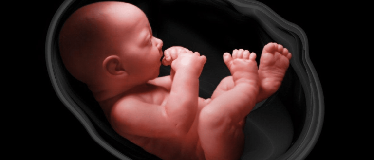 A World’s First: An Ovary Removed Pre-Puberty Has Allowed a Woman to Give Birth