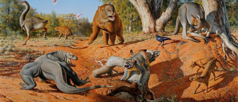 Humans Killed Australia’s Megafauna