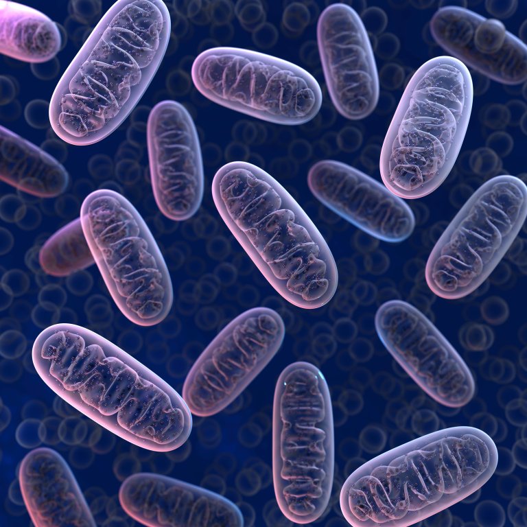 Scientists May Have Uncovered the Key to the Origin of Complex Life