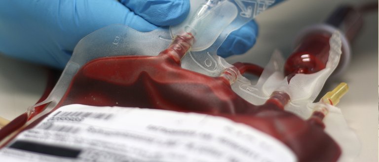 Meet the Startup That Wants to Restore Your Youth With Blood Transfusions