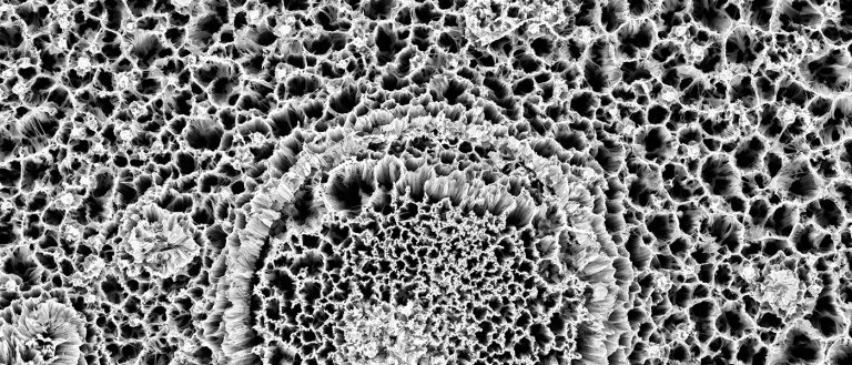 New Breakthrough Can Lower Cost of Printed Electronics