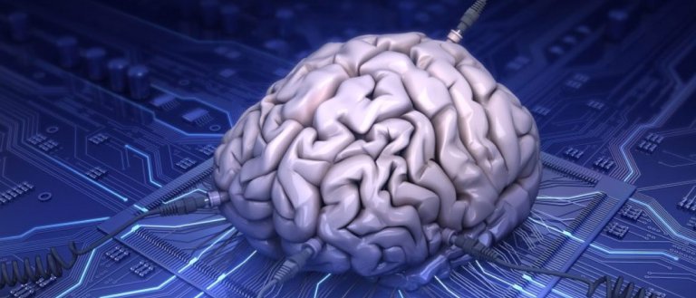 The World’s Best Doctors Aren’t Earning PHDs — They’re Being Programmed