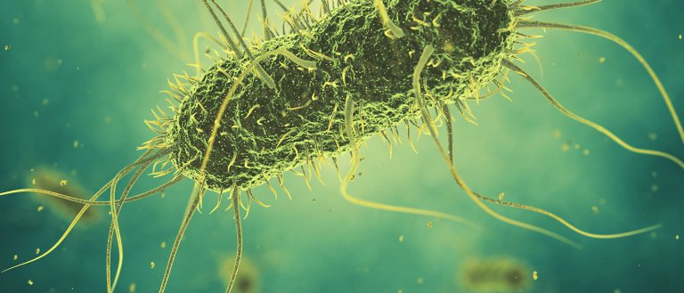 Synthetic Cells Have Passed A Turing Test