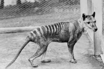 Credit: National Archives of Australia