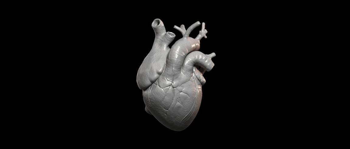 heart disease heart failure soft robotics vads