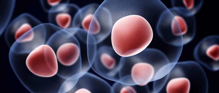 New Stem Cell Treatment Can Restore Sight to the Blind