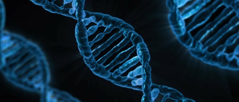 Scientists Have Figured out How Life Is Able to Survive