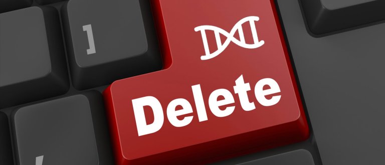 Scientists Have Created A Way to “Delete” DNA in Living Cells