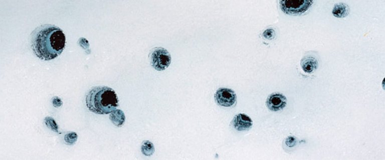 These Little Holes Could Play a Big Part in Climate Change