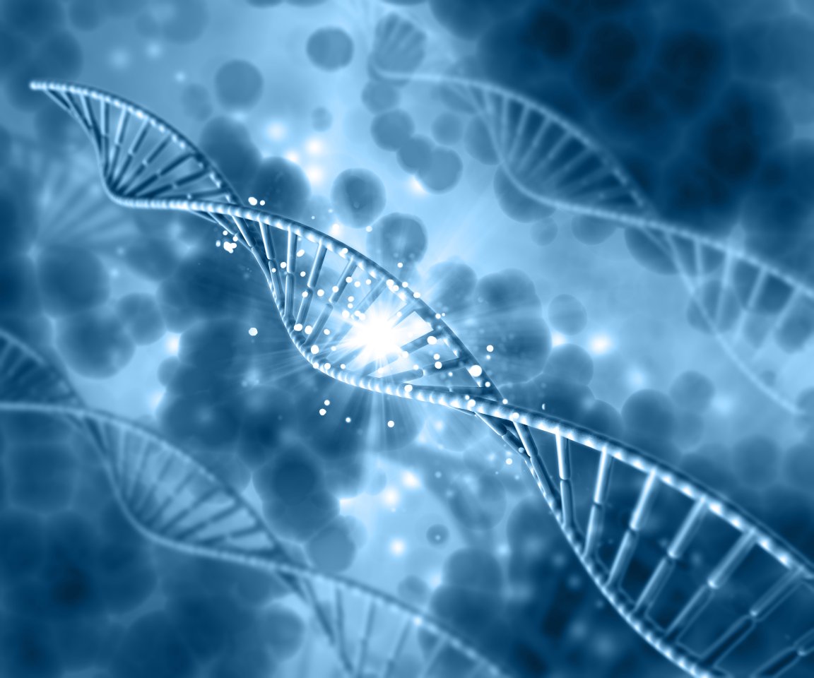 aging disease circadian rhythm late-life cyclers