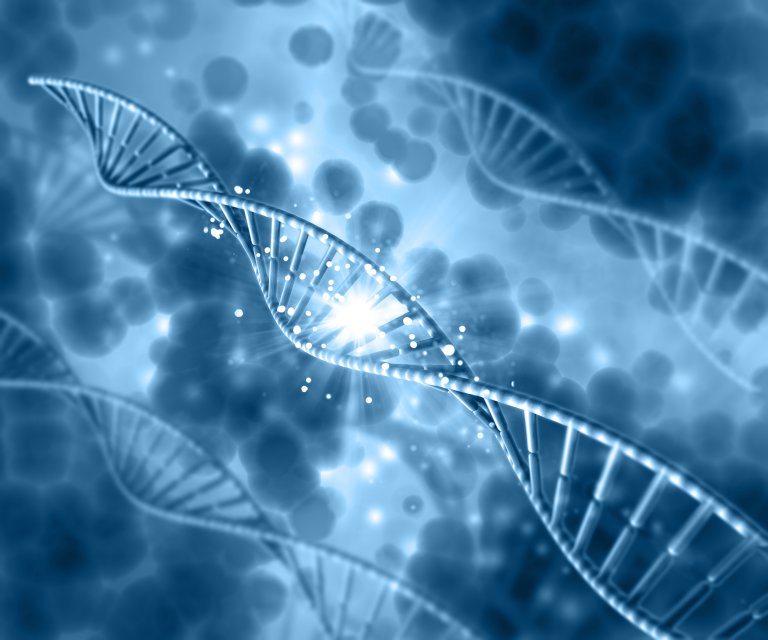 aging disease circadian rhythm late-life cyclers