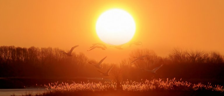 Last Week, the Temperature in One U.S. City Was 43 Degrees Higher Than Normal