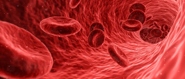 Researchers Have Found a “Reset Button” for Aging Cells