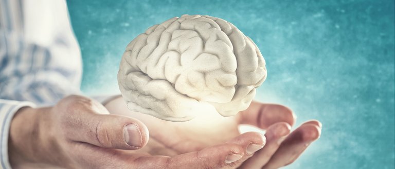 Want to Help Save the World? Donate Your Brain to Science