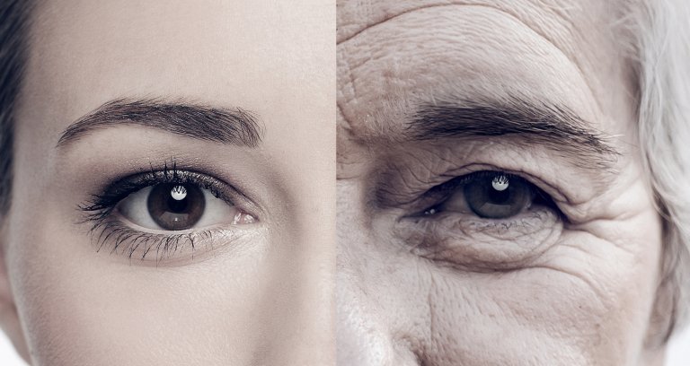 aging lifespan mitochondria