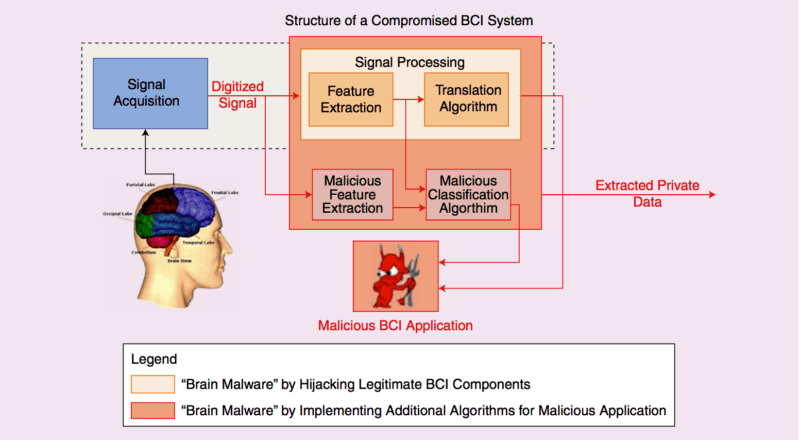 Adiagram of a brain-connected interface system. Photo Credit: Bonaci