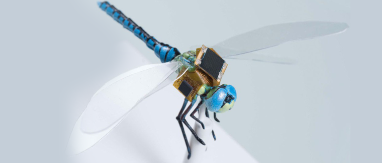 Japan Has Created Black Mirror-Inspired Bee Drones
