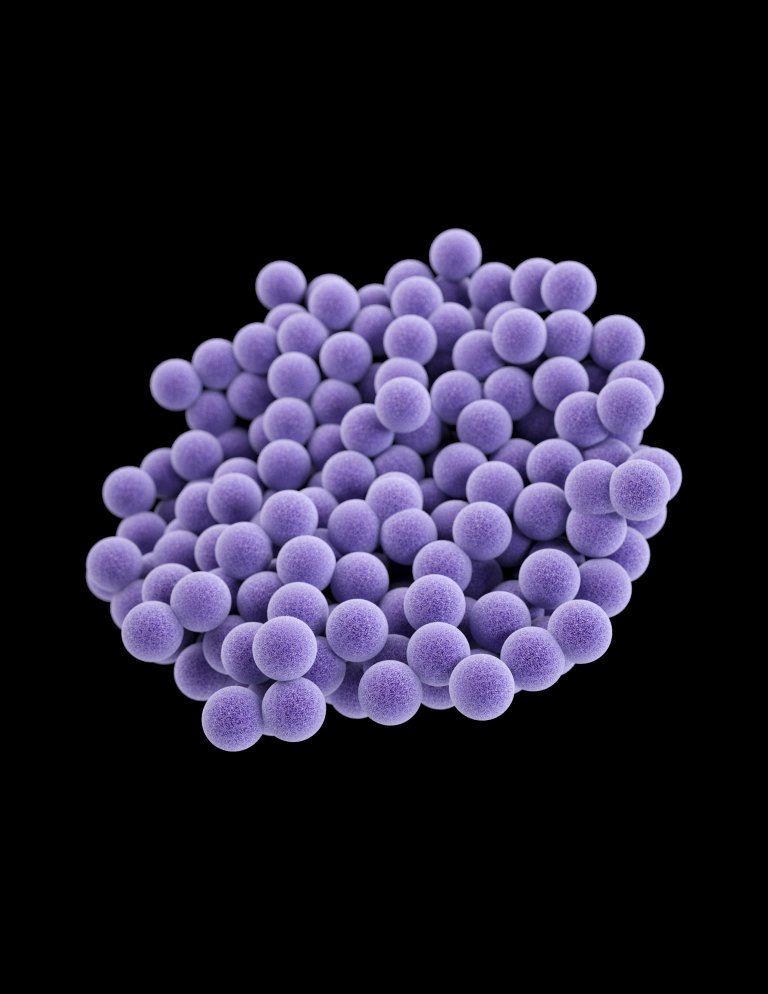 bacteria spacex iss mrsa