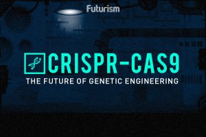Crispr-Cas-9