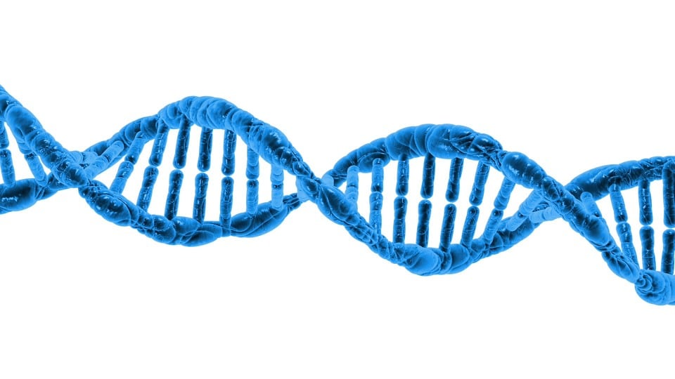 *5* Researchers Release Successful Results of First Genetic Edit of Viable Embryos