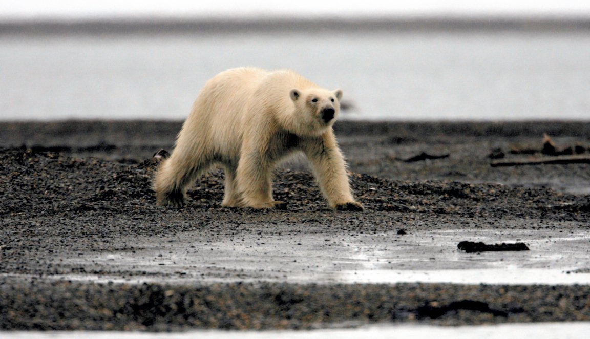 climate change global warming co2 emissions
