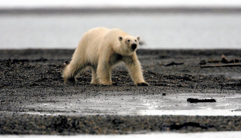 climate change global warming co2 emissions