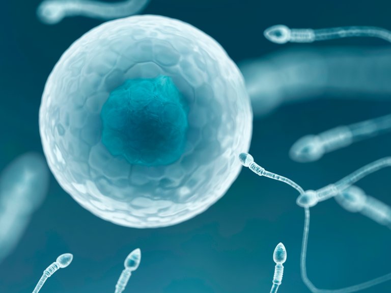 Older Women Are Getting Pregnant Thanks to a Radical New Menopause Treatment