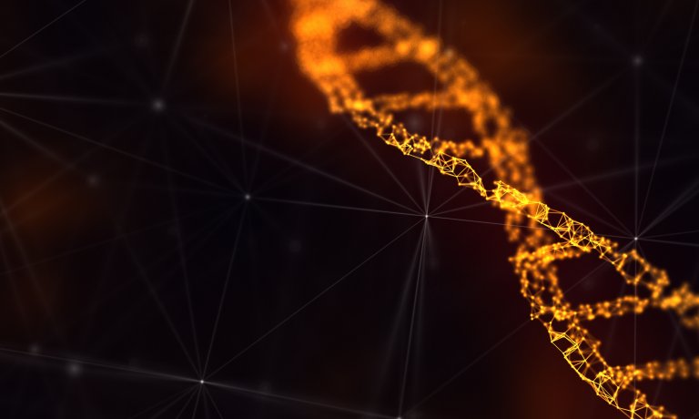 yeast synthetic genome bioengineering