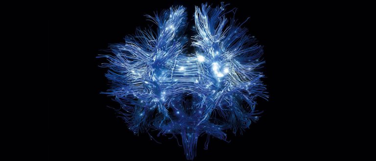 Google’s DeepMind AI Now Has a Memory