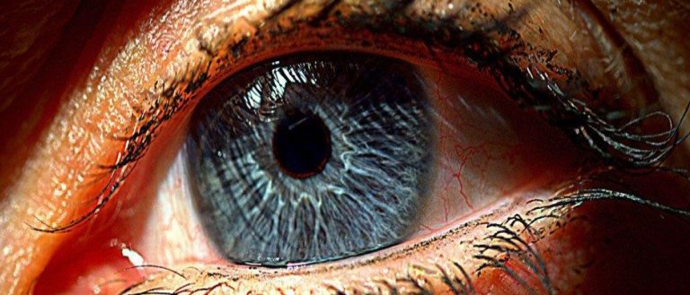 Retinal Implants Could Restore Sight to More Than 2 Million People