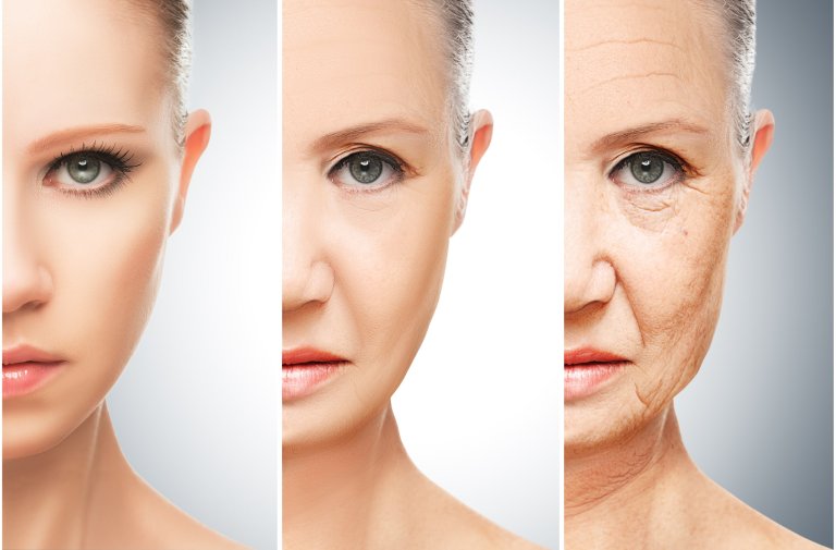 Two Compounds Revealed to Slow Age-Induced Degeneration