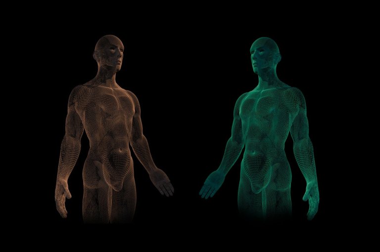 Scientists Are Building Humanoid Robots Using Skin Grafts
