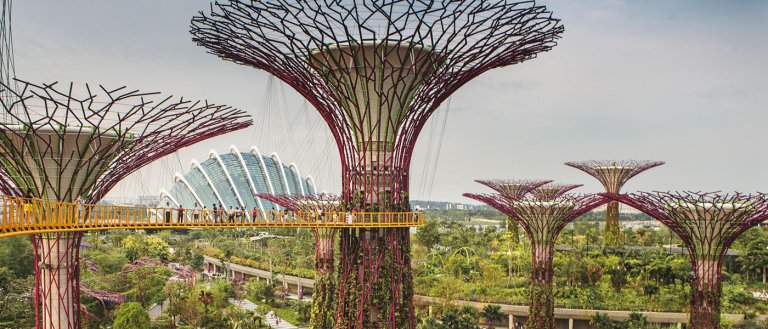 One of the Densest Countries in the World Is Going Green