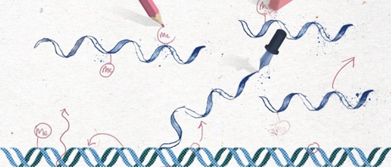 Researchers Are Digging Into a Previously Overlooked Aspect of Genetics