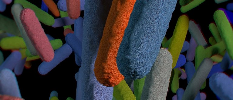 A New Study Has Revealed a Link Between Gut Bacteria and Parkinson’s Disease