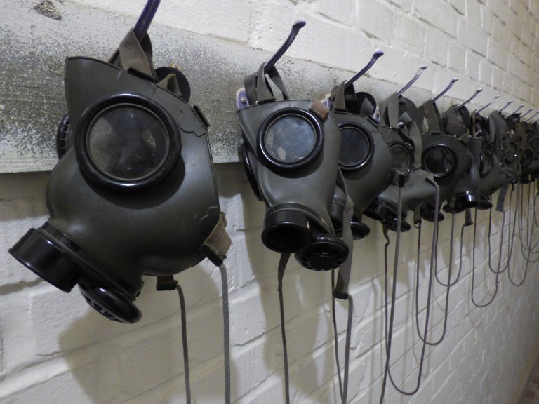 These Researchers Want to Prepare Us for the Post-Apocalypse
