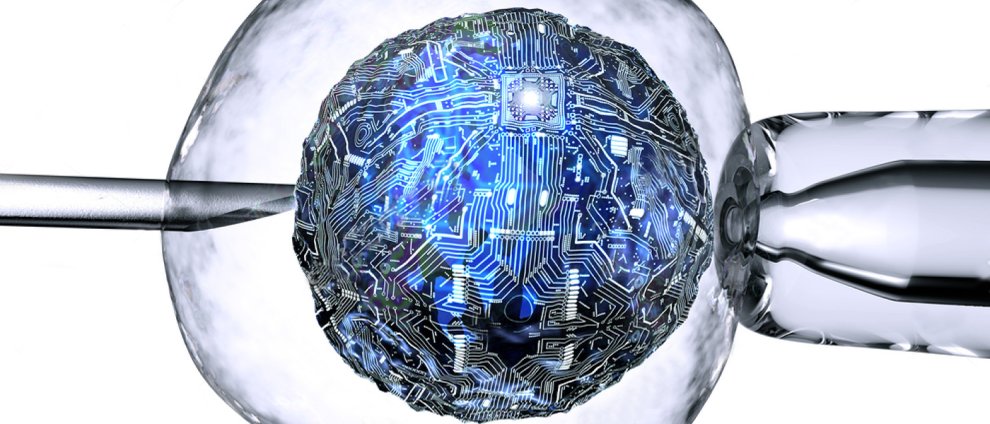 High Tech Bio Computer New Research Turns Mammalian Cells Into Biocomputers