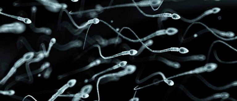 A New $10 Male Contraceptive Is 98% Effective After Just One Shot