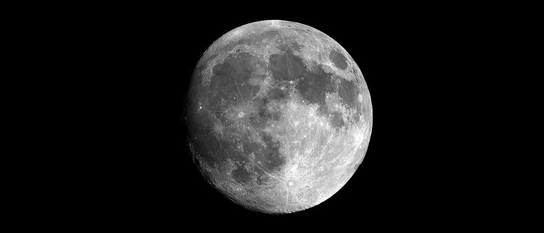 Will SpaceX’s Moon Tourists Survive the Trip Across the Cosmos?