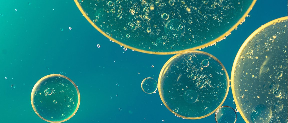 evolution of life cambrian explosion red algae oldest complex life form