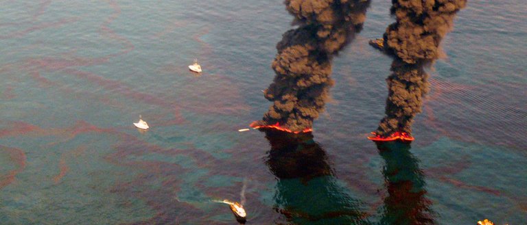 A New Reusable Sponge Can Absorb 90 Times Its Weight in Oil