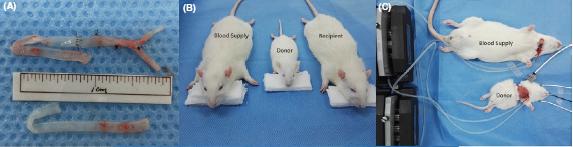 Image credit: CNS