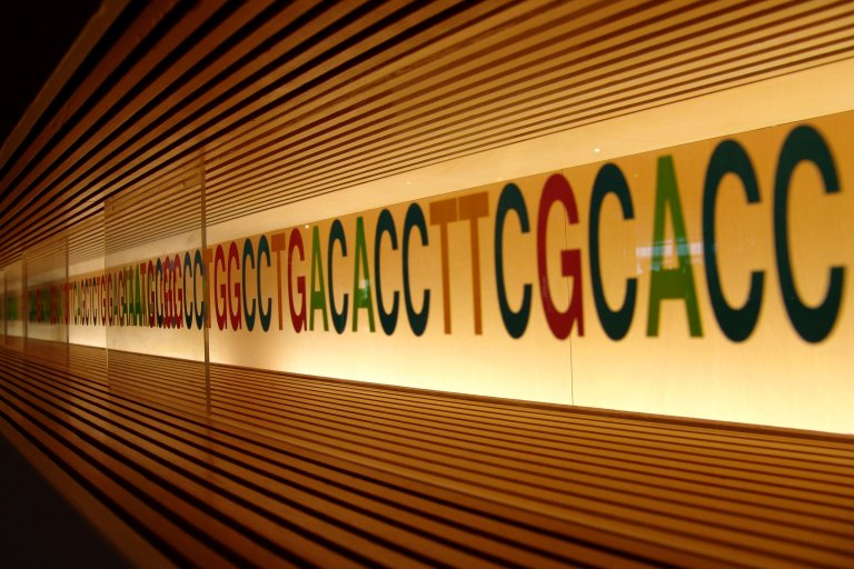 The Next Step in Human Evolution Won’t Be Confined to Our Bodies