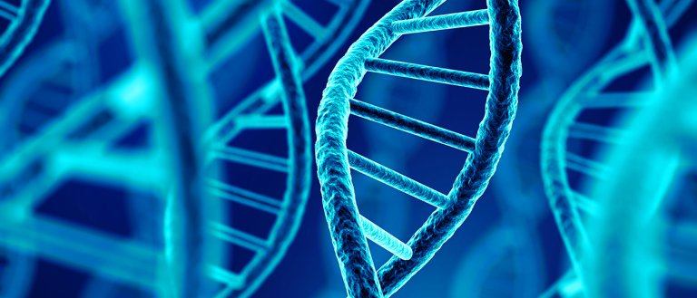A Fast, Affordable Blood Test Could Change How We Treat Cancer Forever
