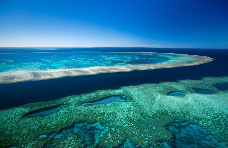 Scientists Announce That The Great Barrier Reef is Officially “Terminal”